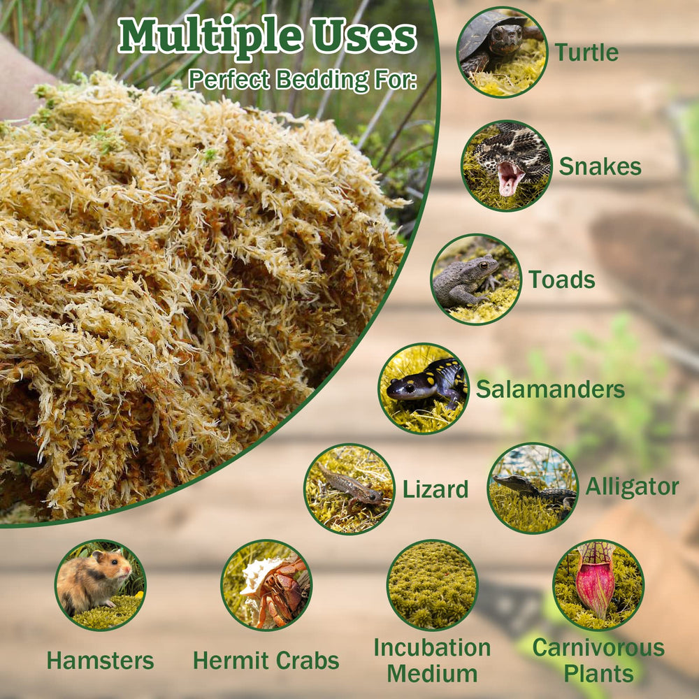Riare musgo del bosque premium, aroma terroso natural para hábitats.