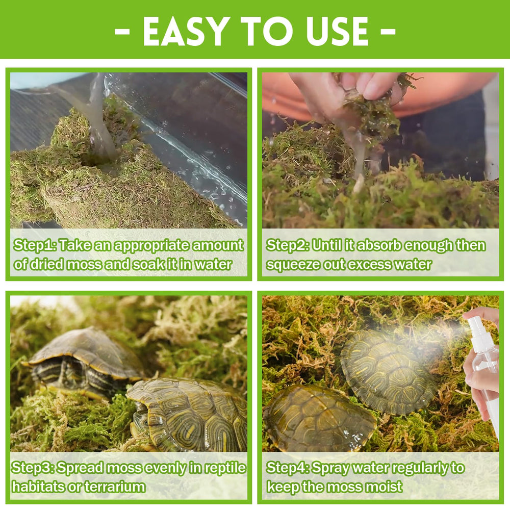 Riare musgo sphagnum promueve excavación natural, ideal para reptiles pequeños y roedores.