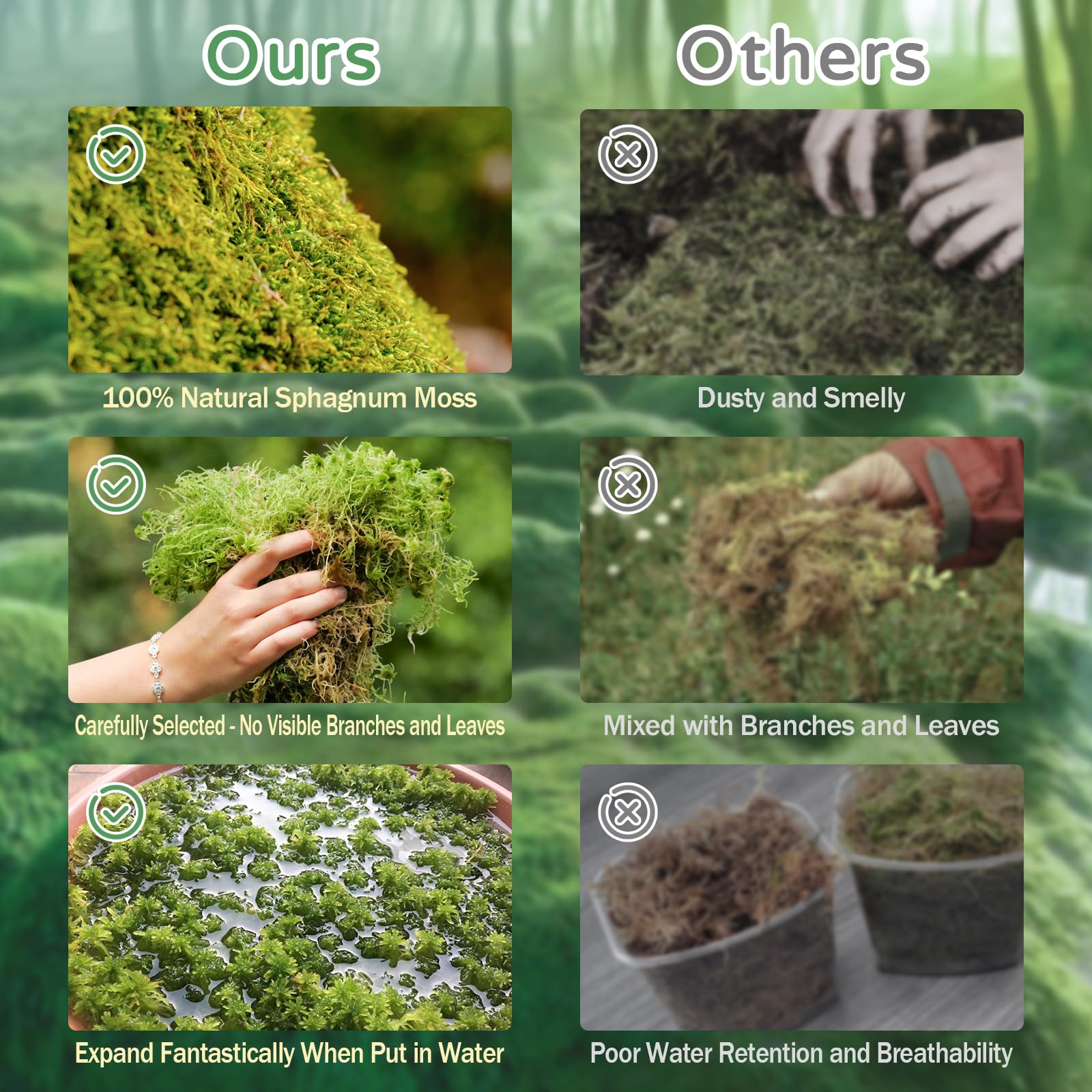 Riare musgo sphagnum, cama de bosque para reptiles, insectos y crías.