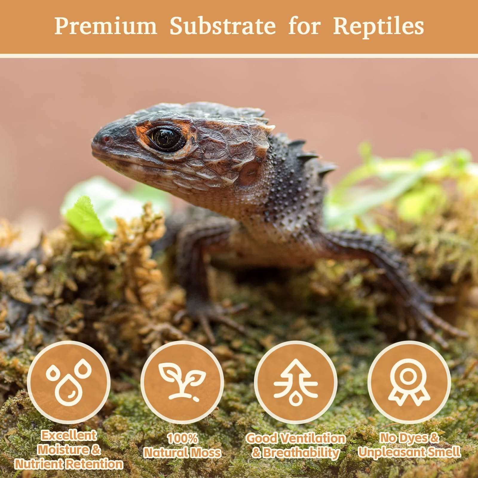 Riare musgo sphagnum natural, alta retención de humedad para reptiles