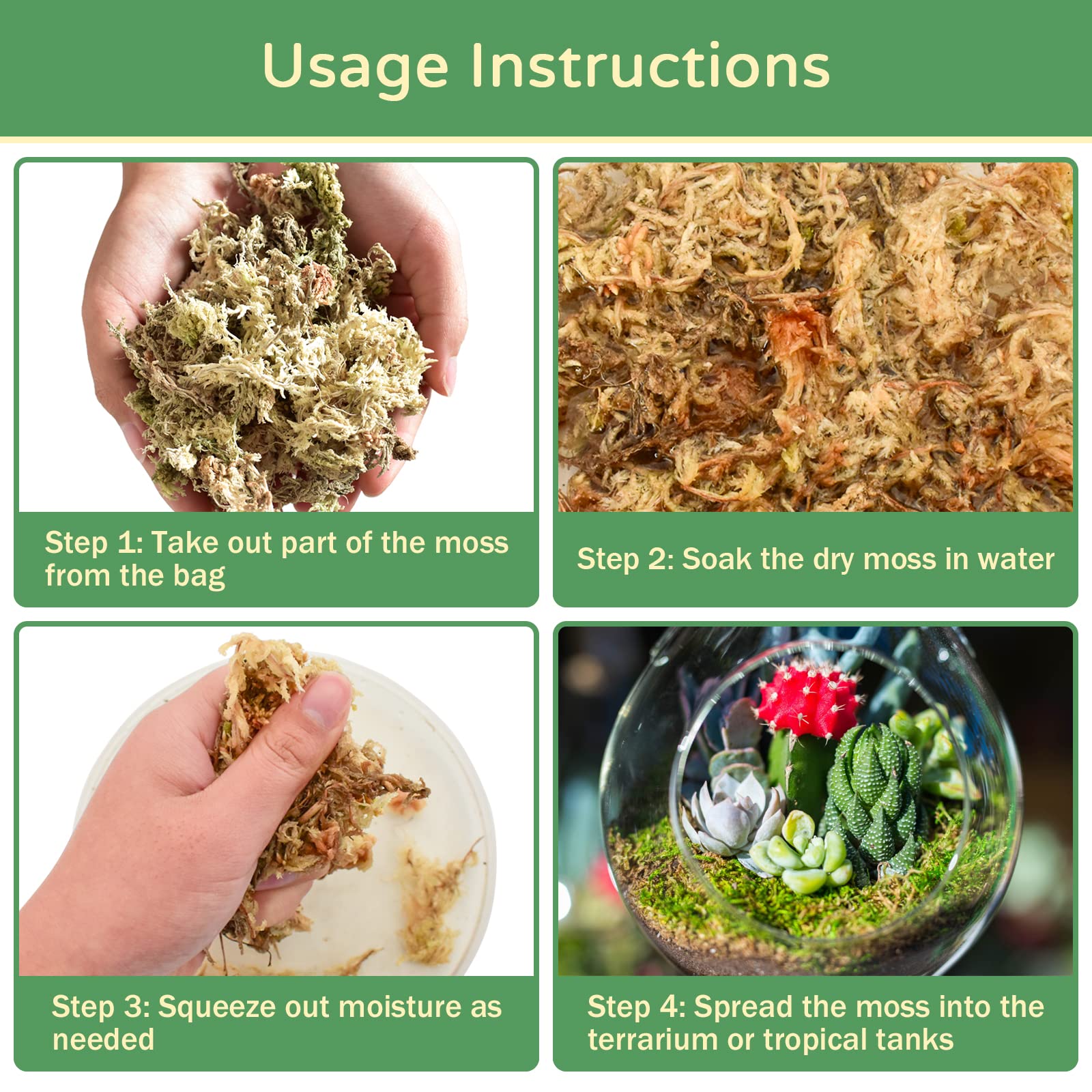 Riare musgo sphagnum, uso de incubación para anfibios y huevos.