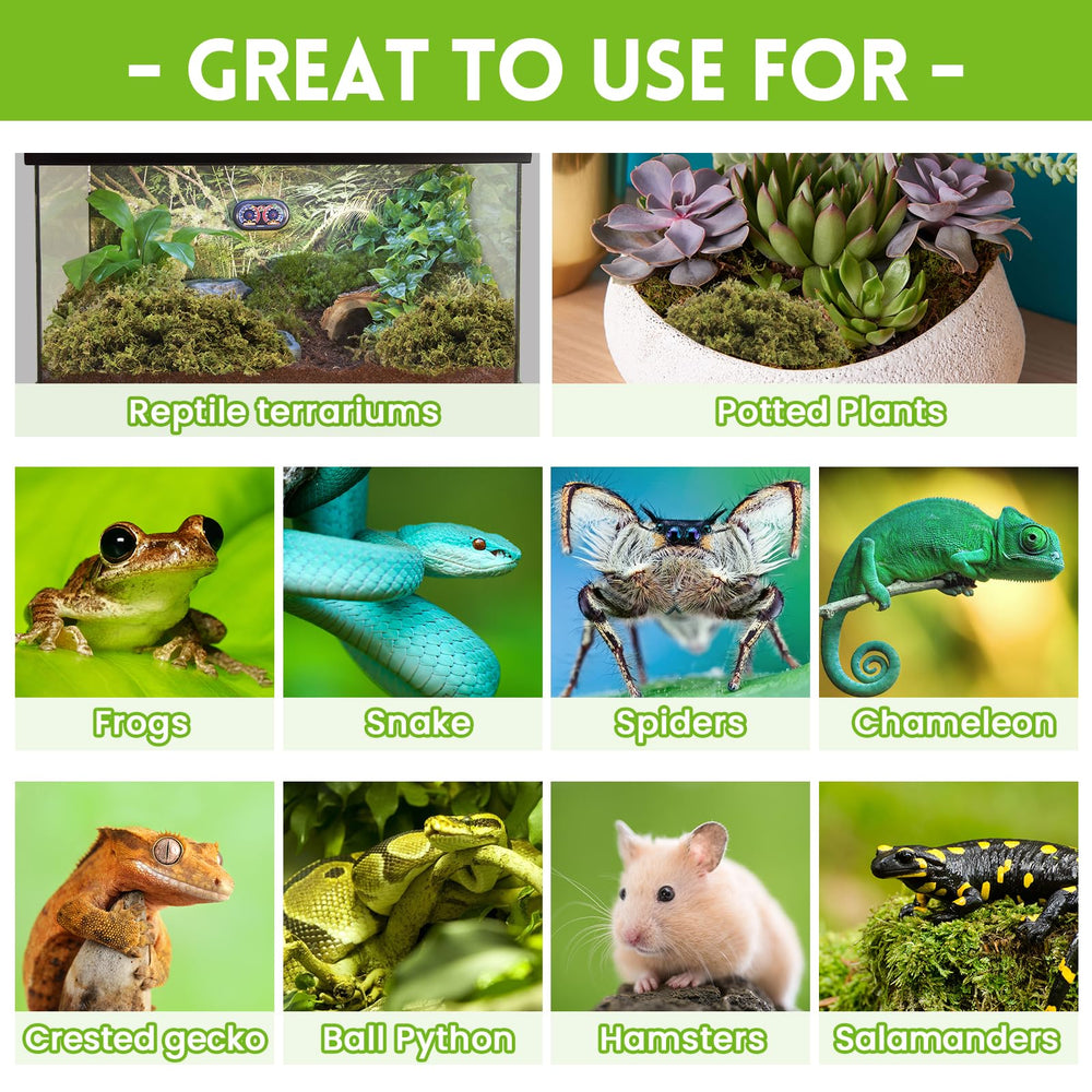 Riare musgo sphagnum para incubación y anidación, favorece un entorno cómodo.