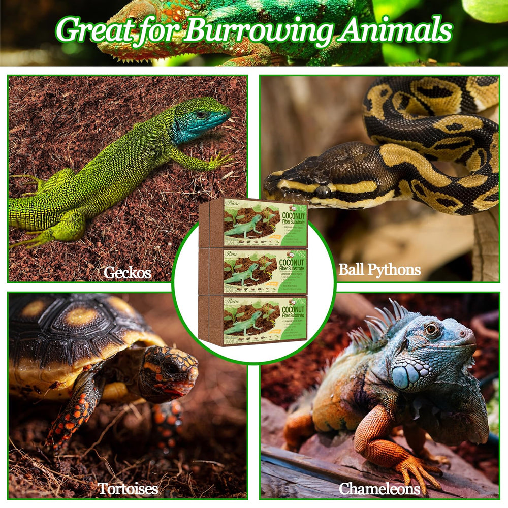 Riare sustrato universal de coco para reptiles y anfibios.
