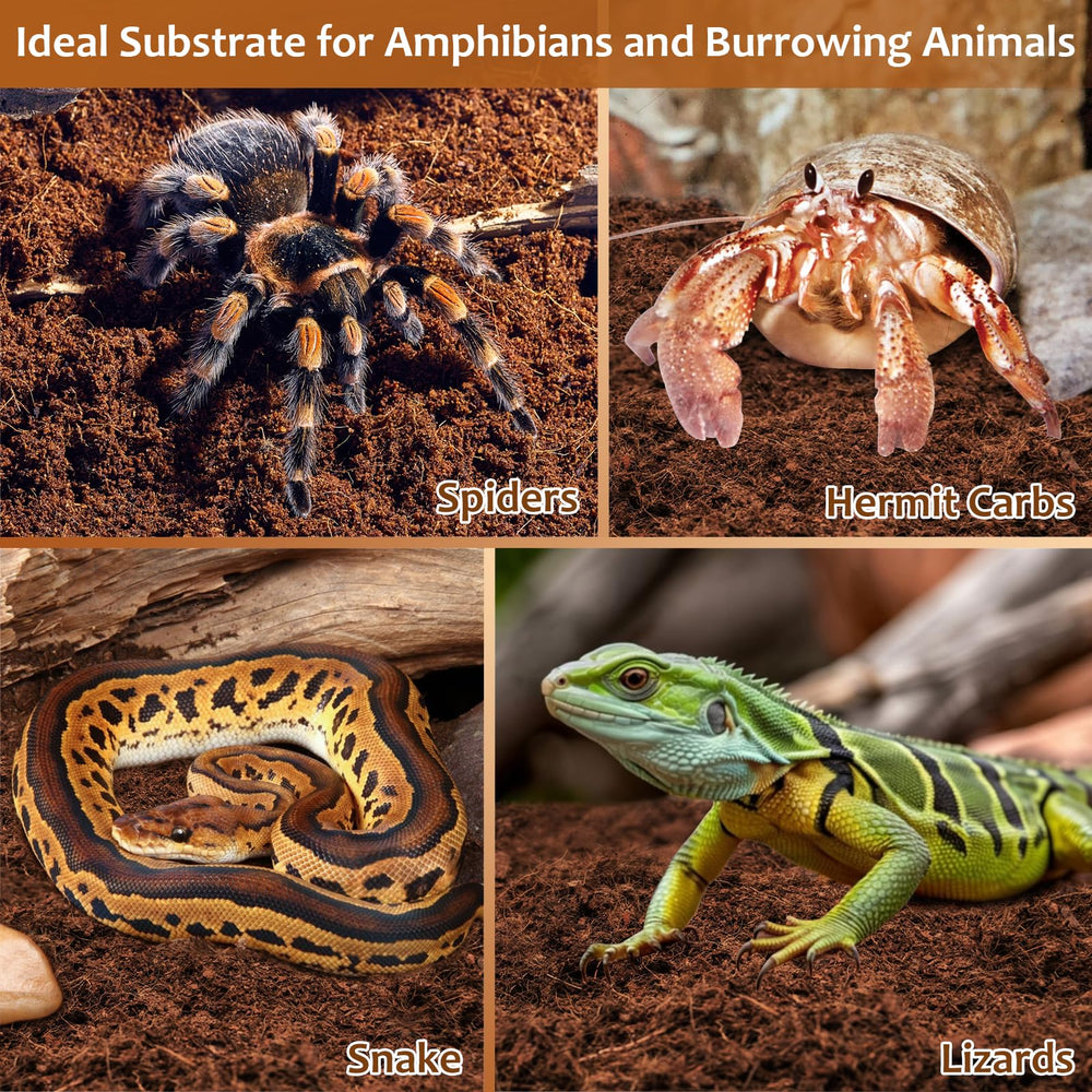 Riare sustrato natural para reptiles y anfibios, compatible con terrarios variados.