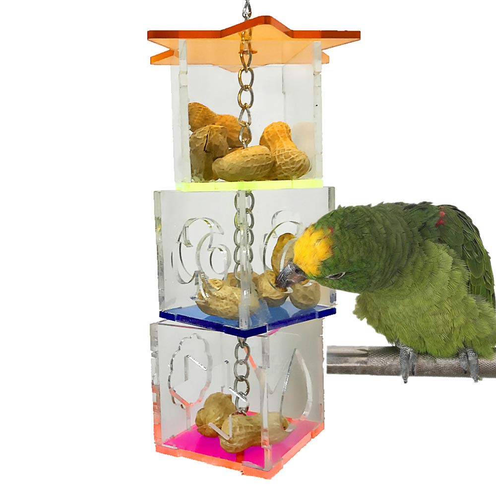 Ricefine caja de forraje para aves transparente, estimula la exploración y la curiosidad.