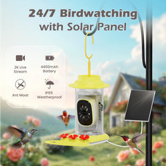 RichBird alimentador colibri panel solar para alimentacion continua al aire libre.