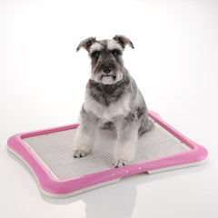 Richell Paw Trax con patas antideslizantes, protege el suelo durante el aprendizaje.