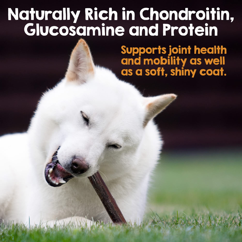 Riley's alternativa sin piel a bully sticks para perros activos.