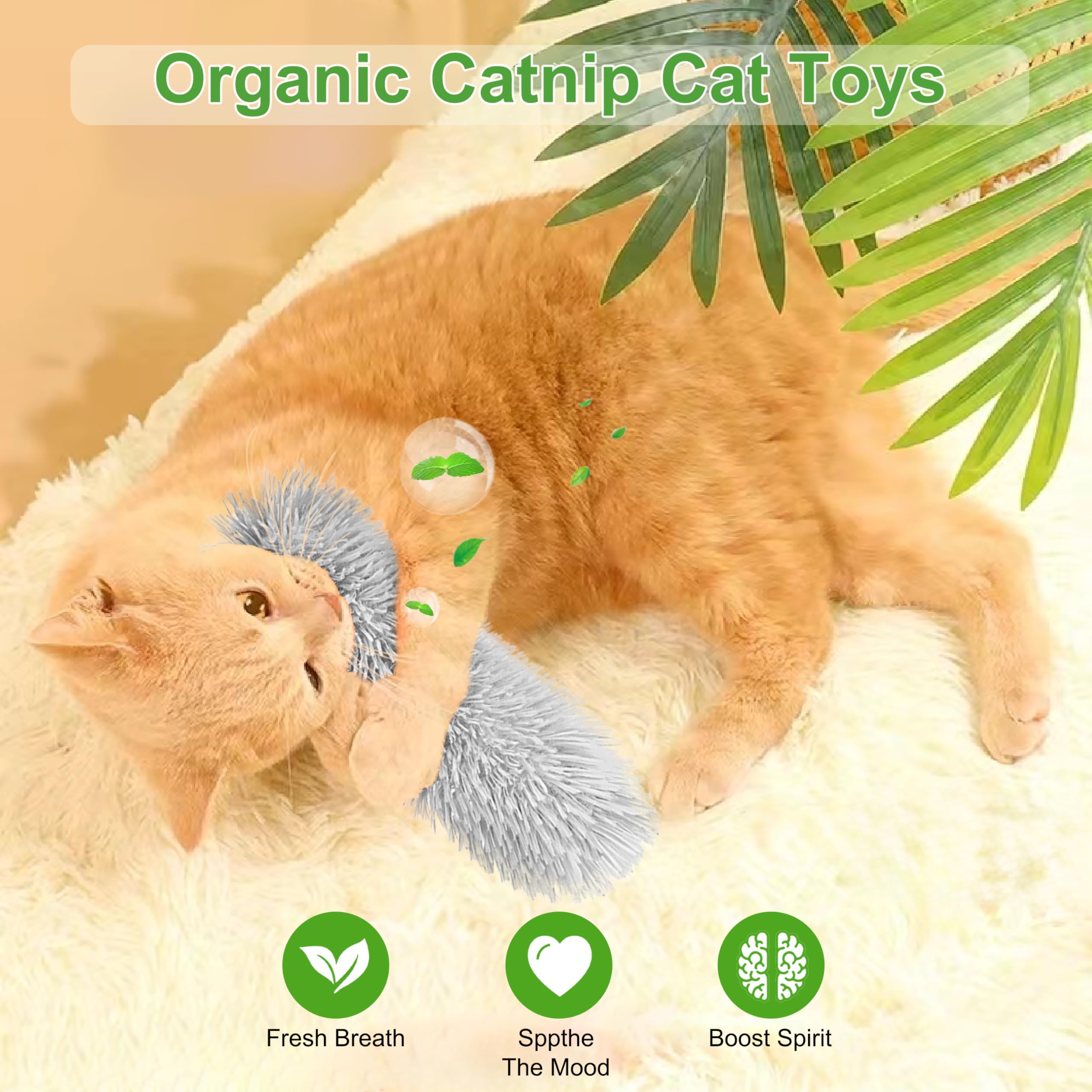Rishoesu juguete catnip natural interactivo: fomenta juego y exploración