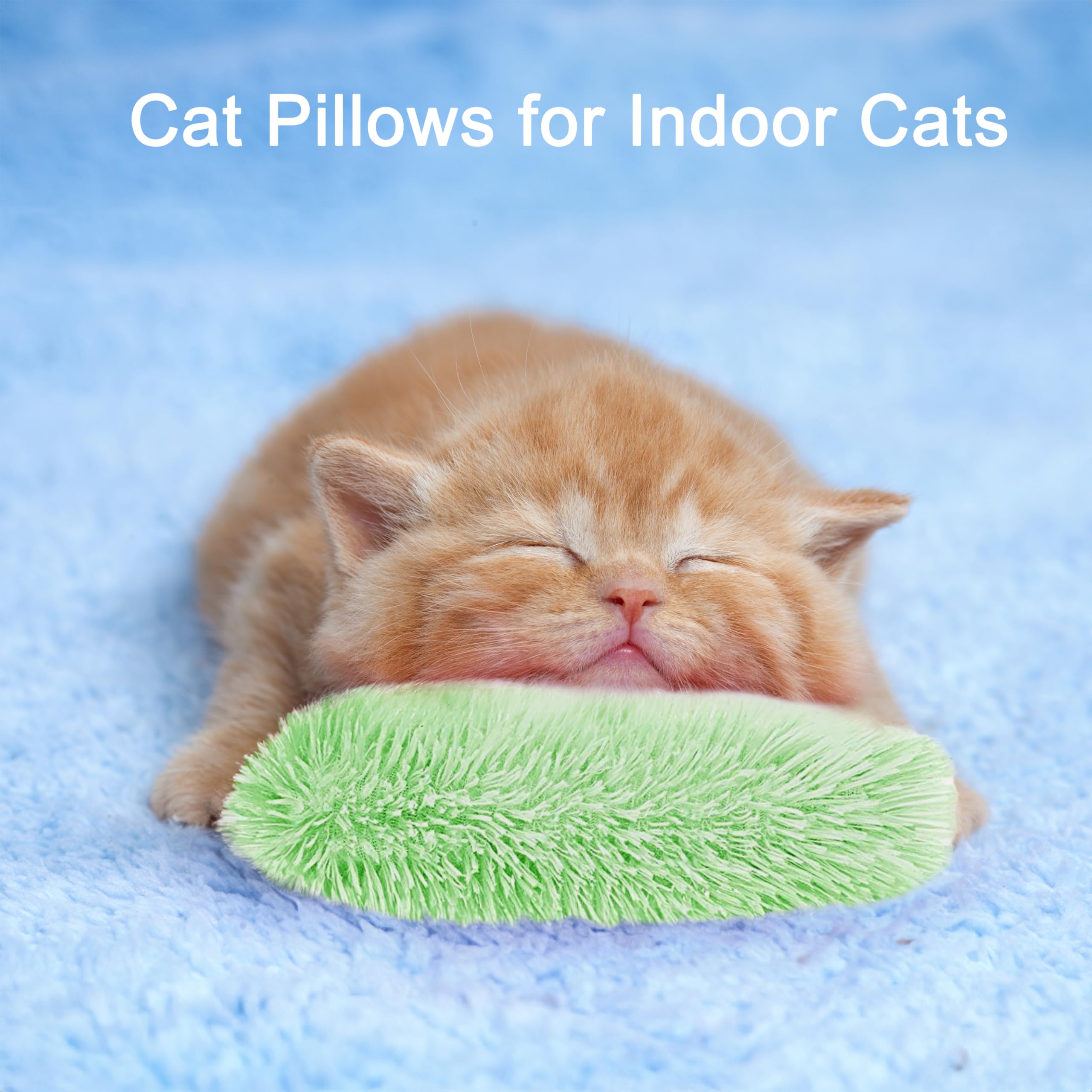 Rishoesu juguete gato para interiores: ejercicio diario seguro
