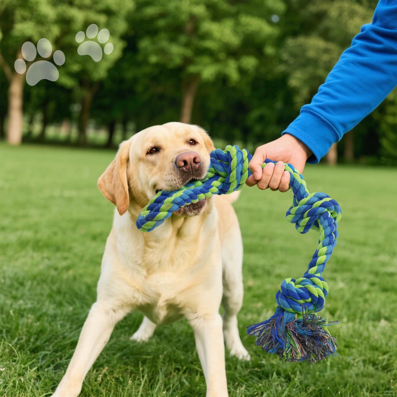 Rocfish cuerda para cachorros, supervisión recomendada