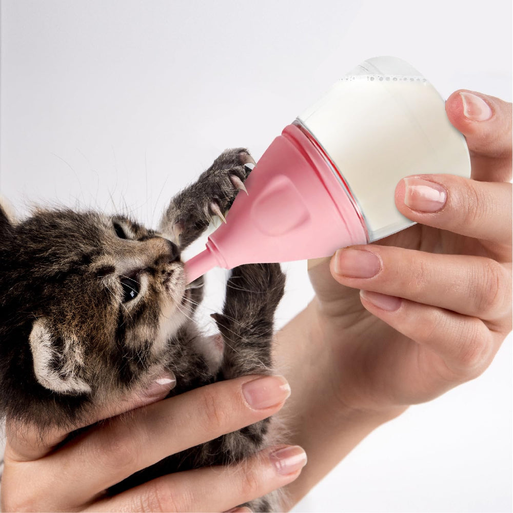 Rock Tech biberón con flujo lento para cachorro, rosa, seguro y cómodo.