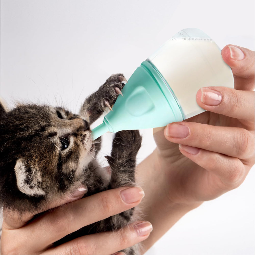 RockTech sistema de flujo suave y anti-atragantamiento para cachorros pequeños