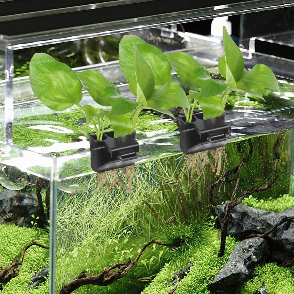 Roetelo: decoración de acuario con soporte de planta para un toque moderno.