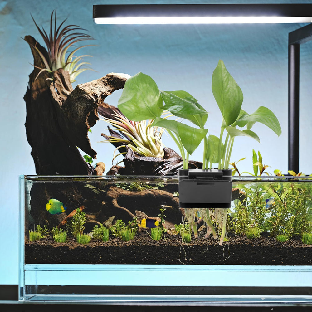 Roetelo 3 huecos: facilita organización y exhibición de plantas.