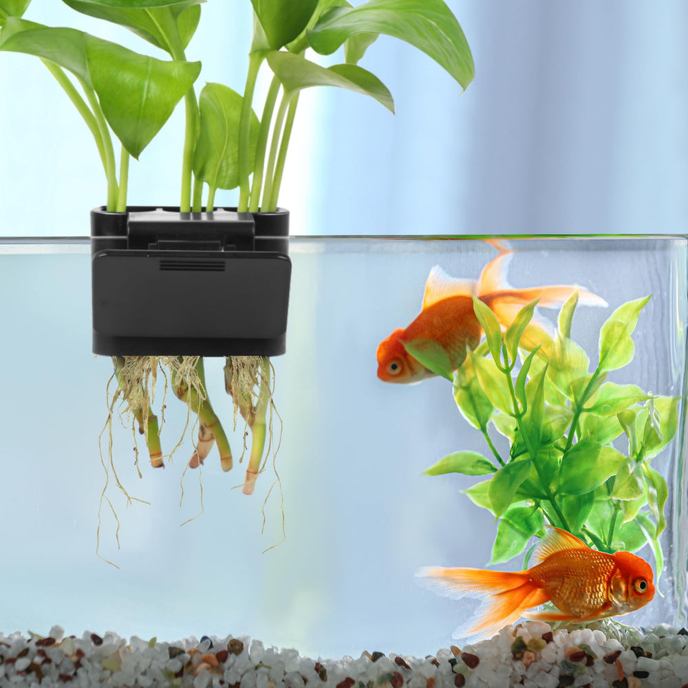 Roetelo: clip de sujeción para acuario con fijación segura y precisa.