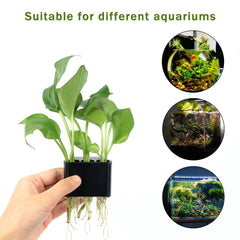 Roetelo tabique removible para cambiar plantas fácilmente, diseño práctico.