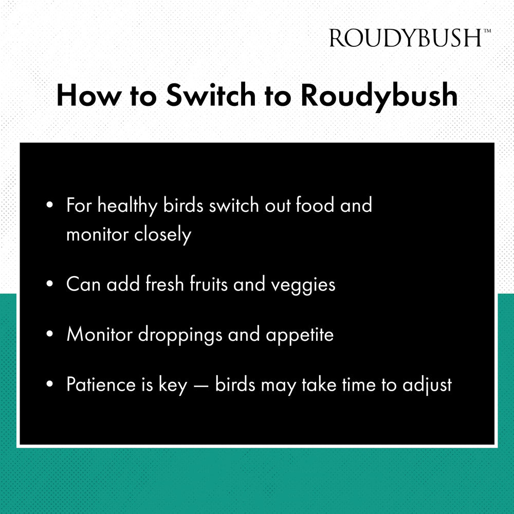 RoudyBush Alimento Diario: ingredientes clave visibles en la etiqueta.