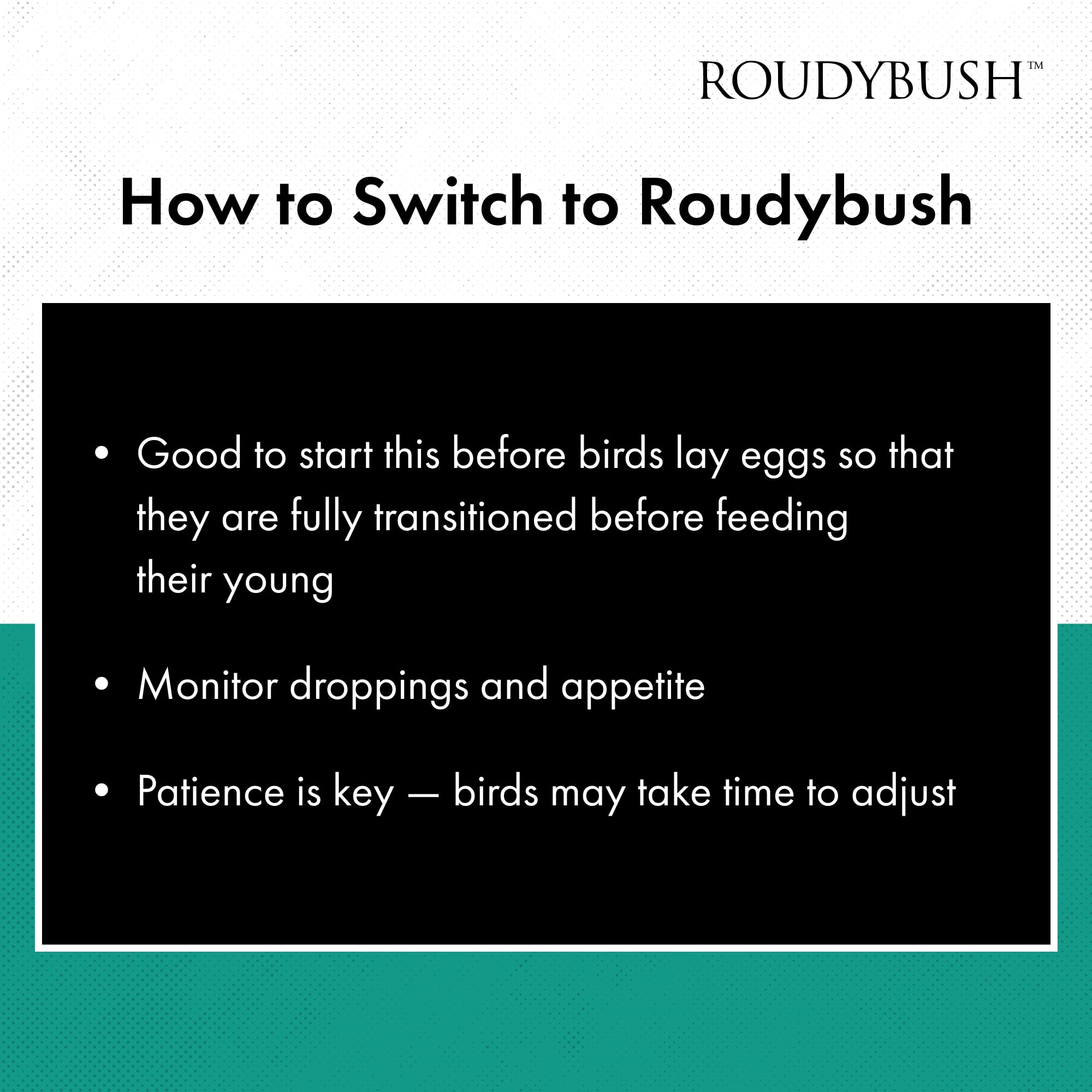 RoudyBush alimento diario para aves: fórmula científicamente diseñada