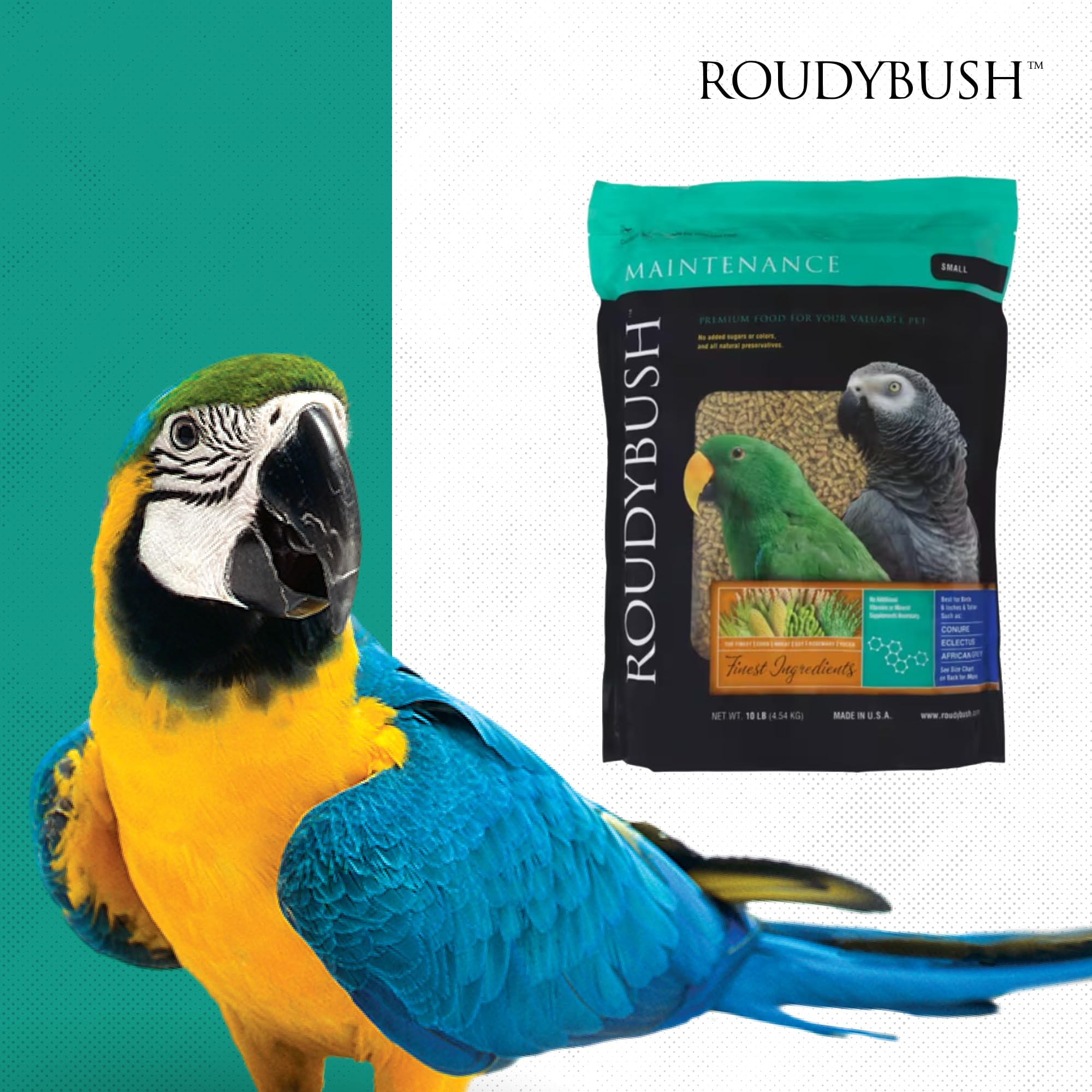 Roudybush hogar con aves pequeñas y jaula