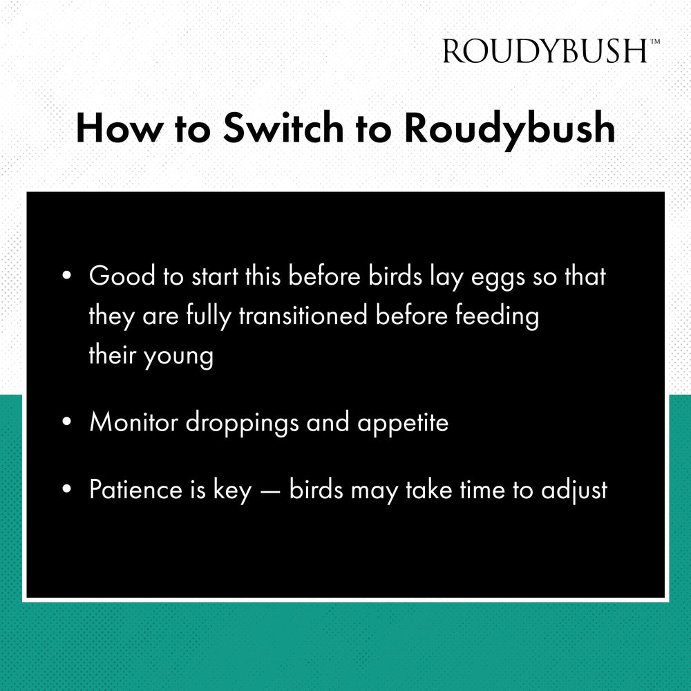 RoudyBush California Blend gránulos para aves, ideal para aves de tamaño pequeño.