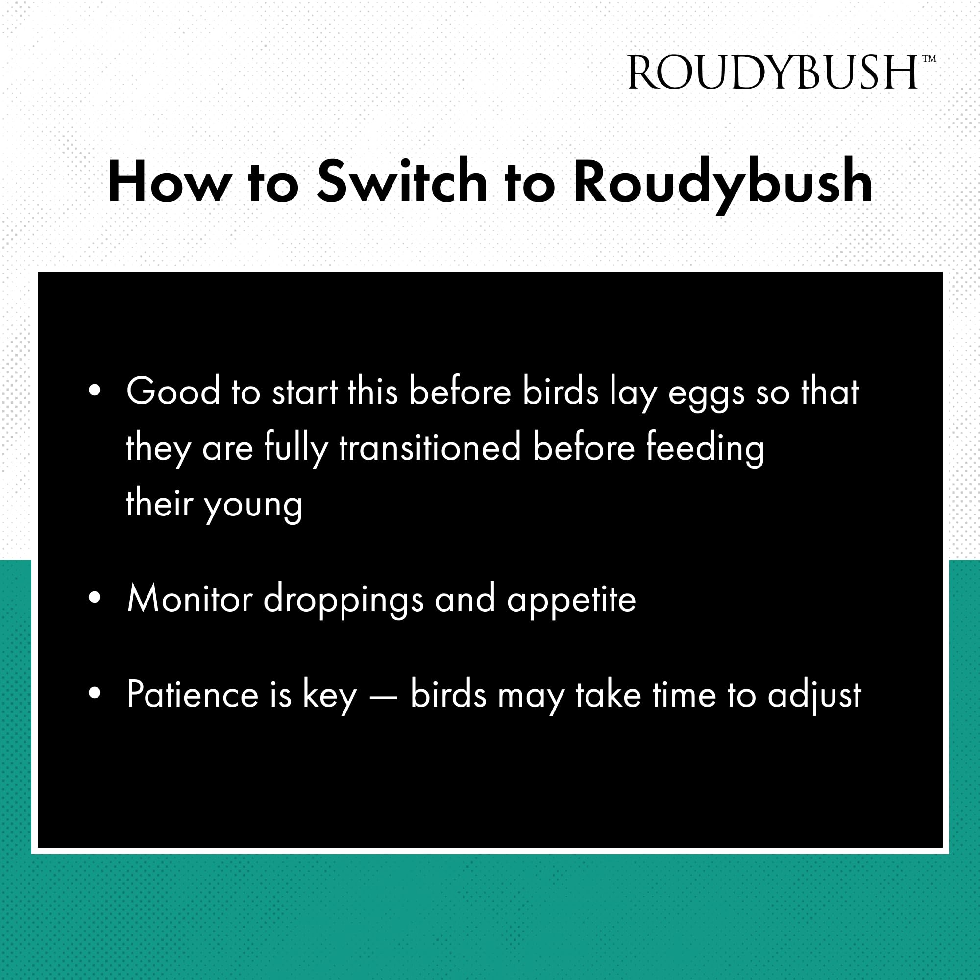 RoudyBush historia de expertos desde 1985 en nutrición aviar