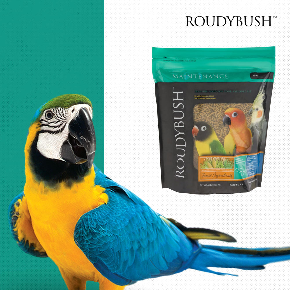 RoudyBush Historia de expertos desde 1985.