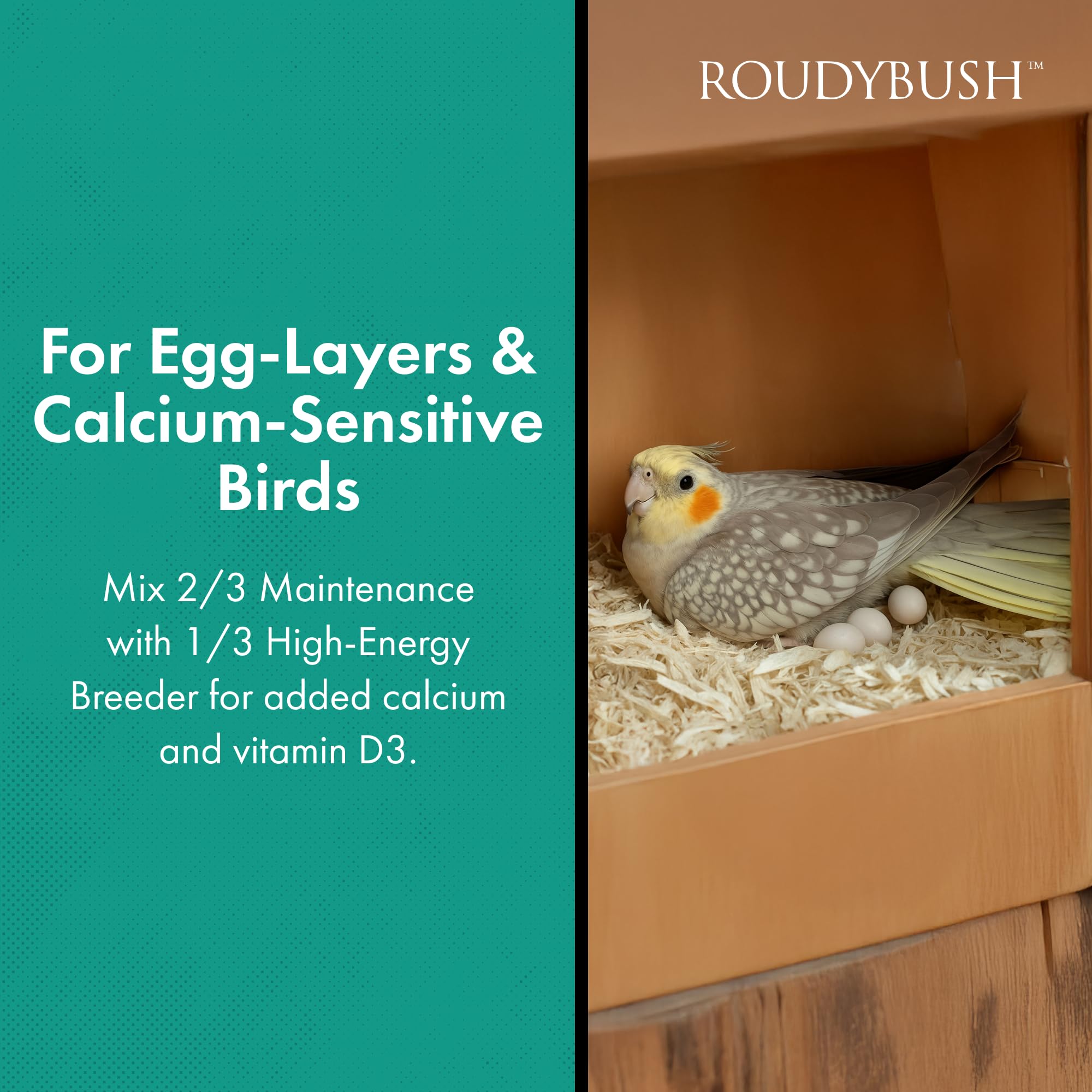 RoudyBush guía de proporciones 1/3 Breeder y 2/3 Maintenance para aves