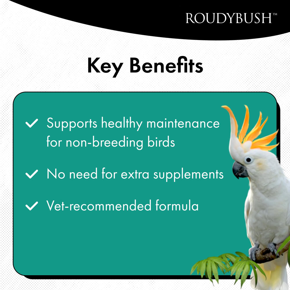 Transición segura con pellet de Roudybush, sin necesidad de suplementos.
