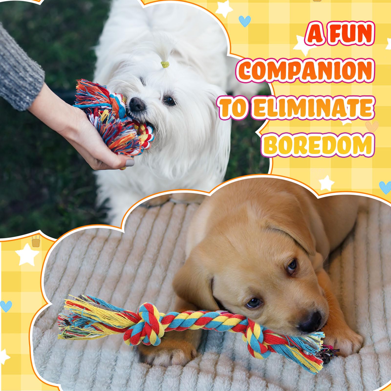 RoundFunny ayuda a relajar perros mediante juego suave