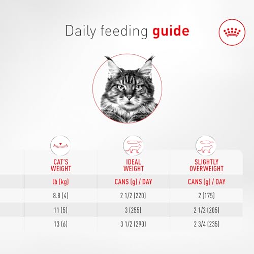 Royal Canin Aging 11+ aroma agradable que estimula el apetito.