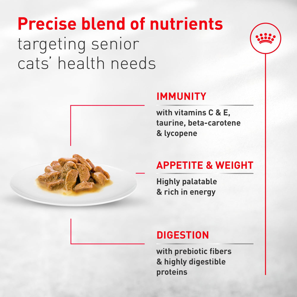 Royal Canin Aging 11+ caja de seis latas, presentación práctica para casa.
