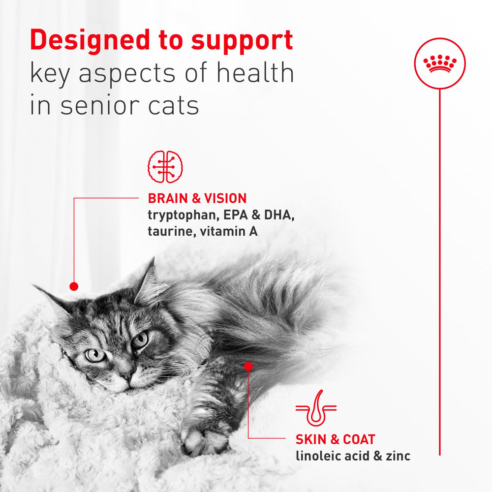 Royal Canin Aging 11+ etiqueta muestra ingredientes clave para la salud del gato.