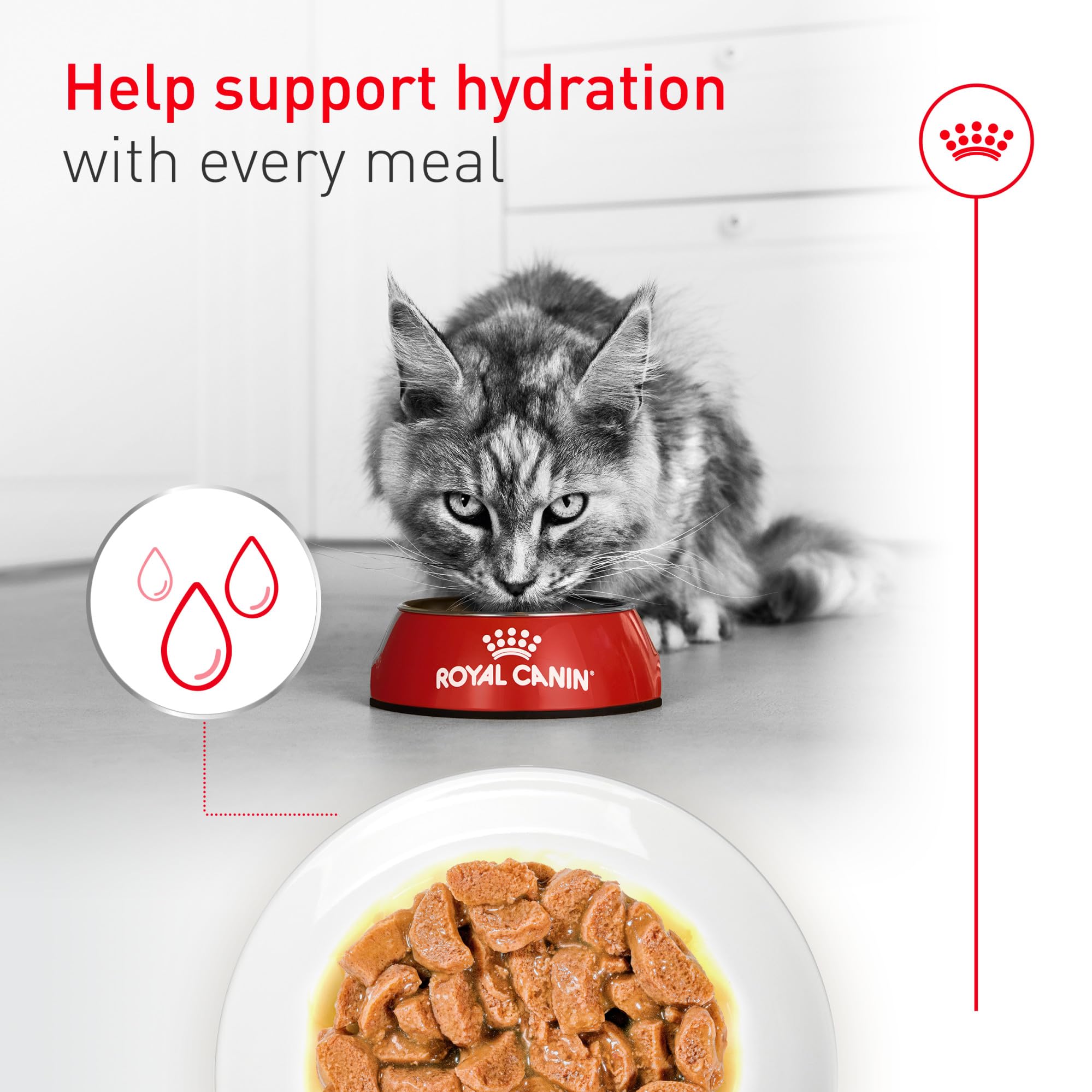 Royal Canin Aging11 Plus digestibilidad alta para una digestión suave.