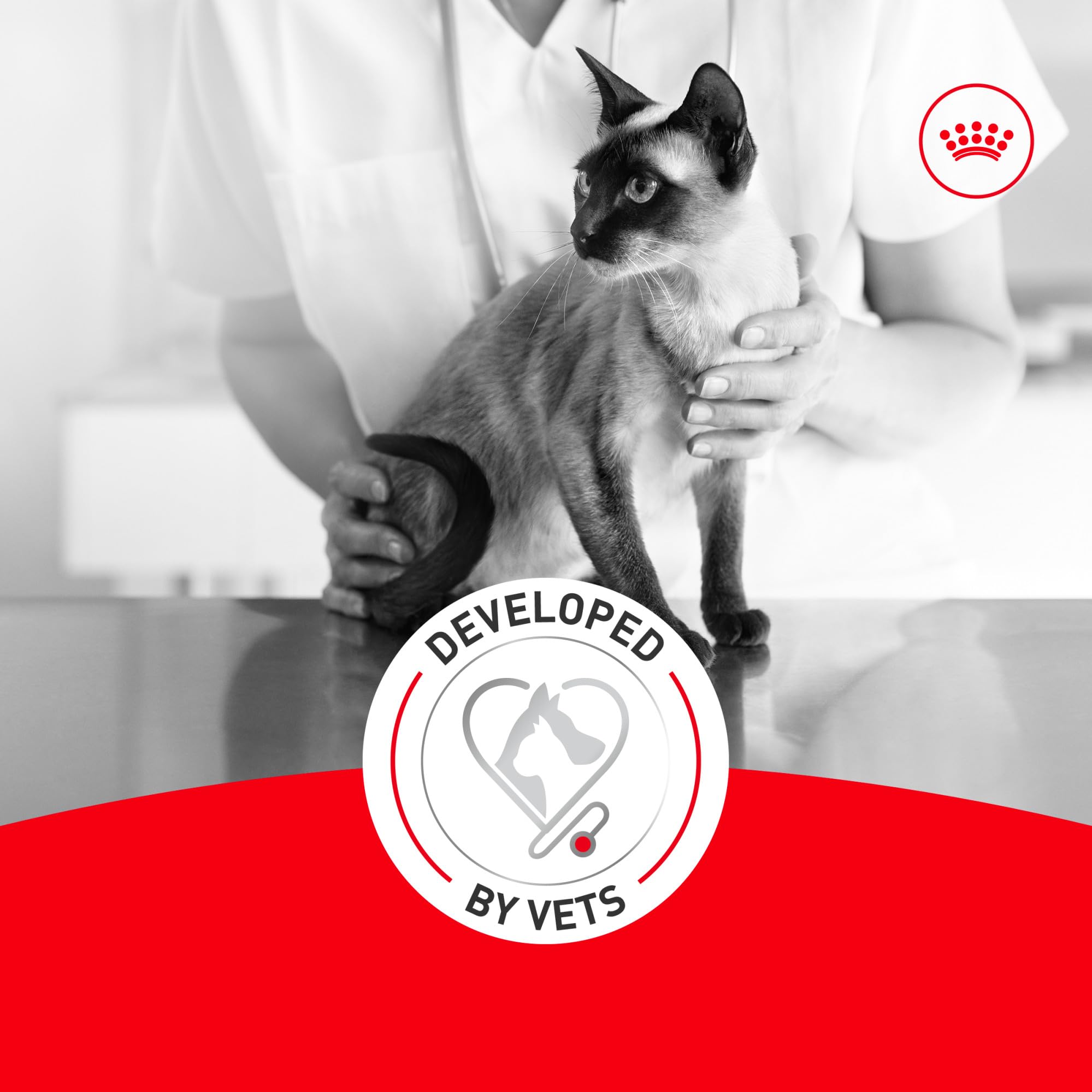 Royal Canin Aging11 Plus nutrición equilibrada para gatos mayores.