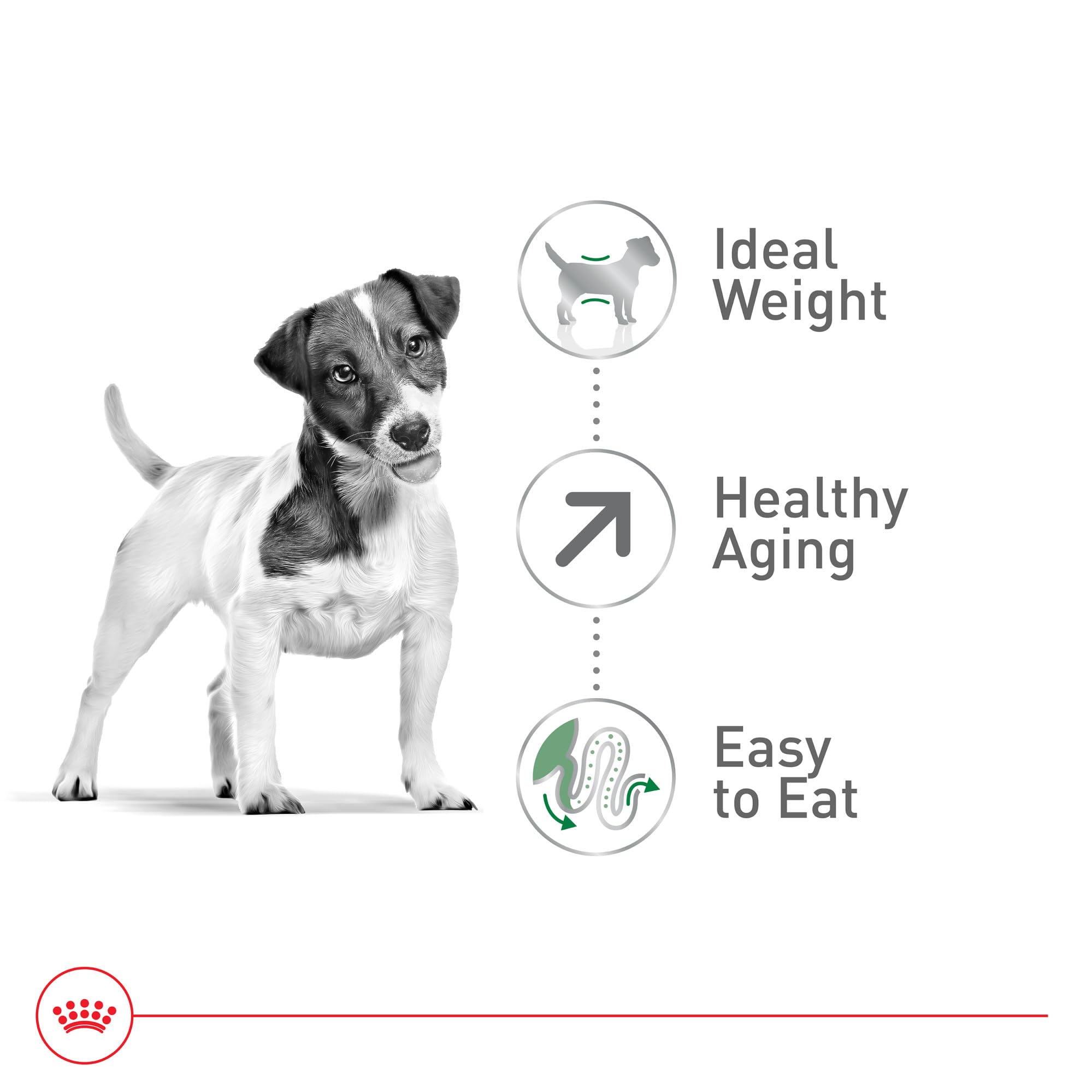 Royal Canin dieta mixta con croquetas y alimento húmedo para mayor palatabilidad.