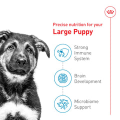 ROYAL CANIN Tamaño Grande Cachorro: antioxidantes y prebióticos para inmunidad y digestión.