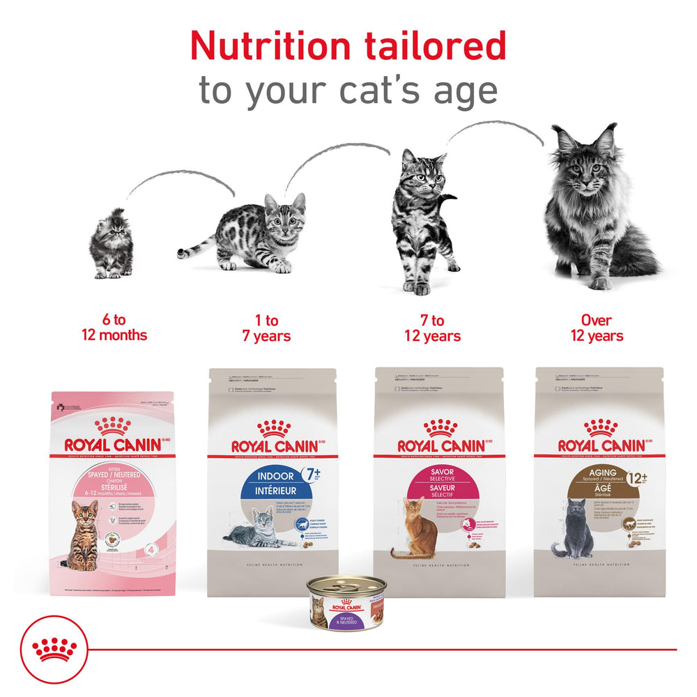 ROYAL CANIN apoyo renal con niveles moderados de fósforo.
