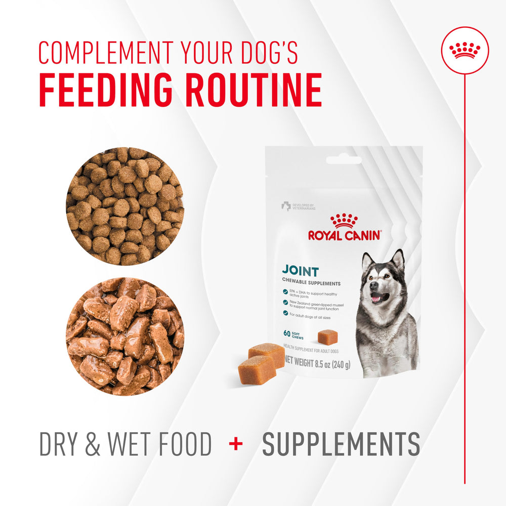 ROYAL CANIN Articulación - etiqueta de alimentación: guía de dosis clara.
