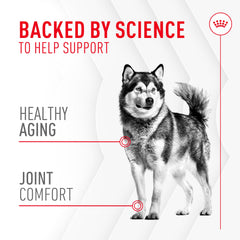 ROYAL CANIN Articulación - mejillón verde de Nueva Zelanda: ingrediente clave para la movilidad.