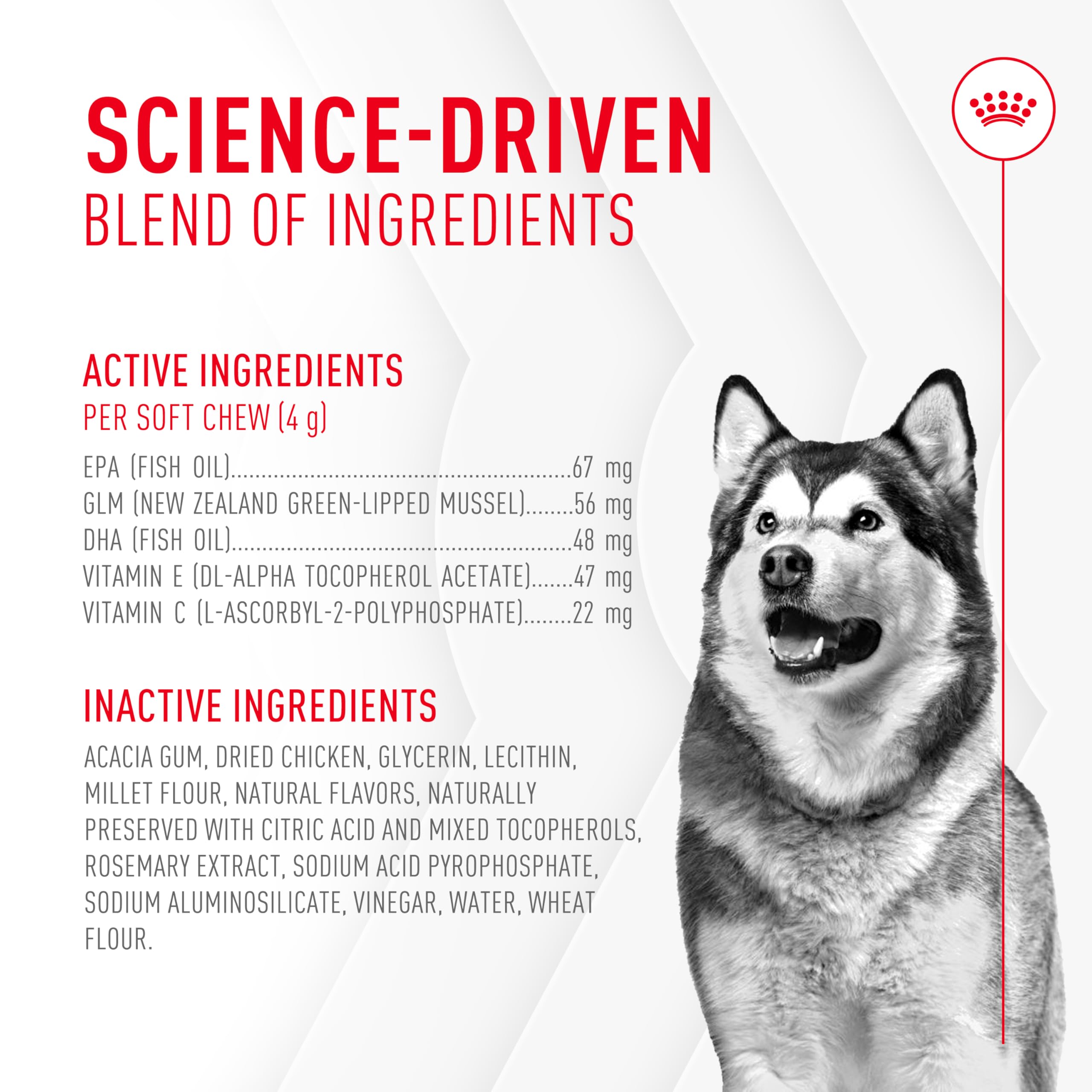 ROYAL CANIN Articulación - vitaminas C y E: apoyo antioxidante para el envejecimiento activo.