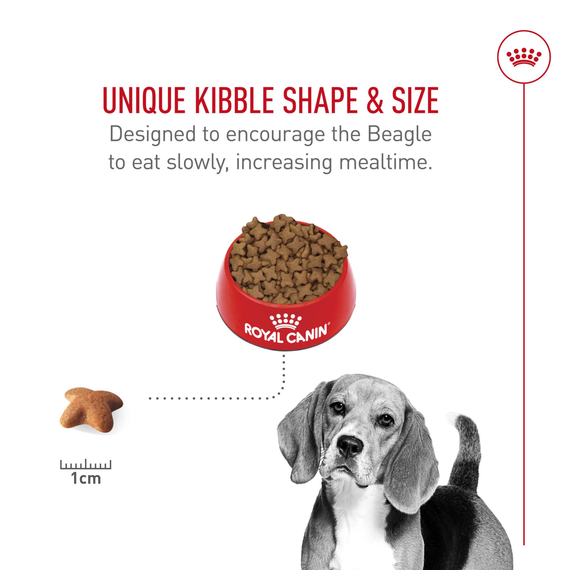 ROYAL CANIN Beagle: calorías equilibradas para peso ideal