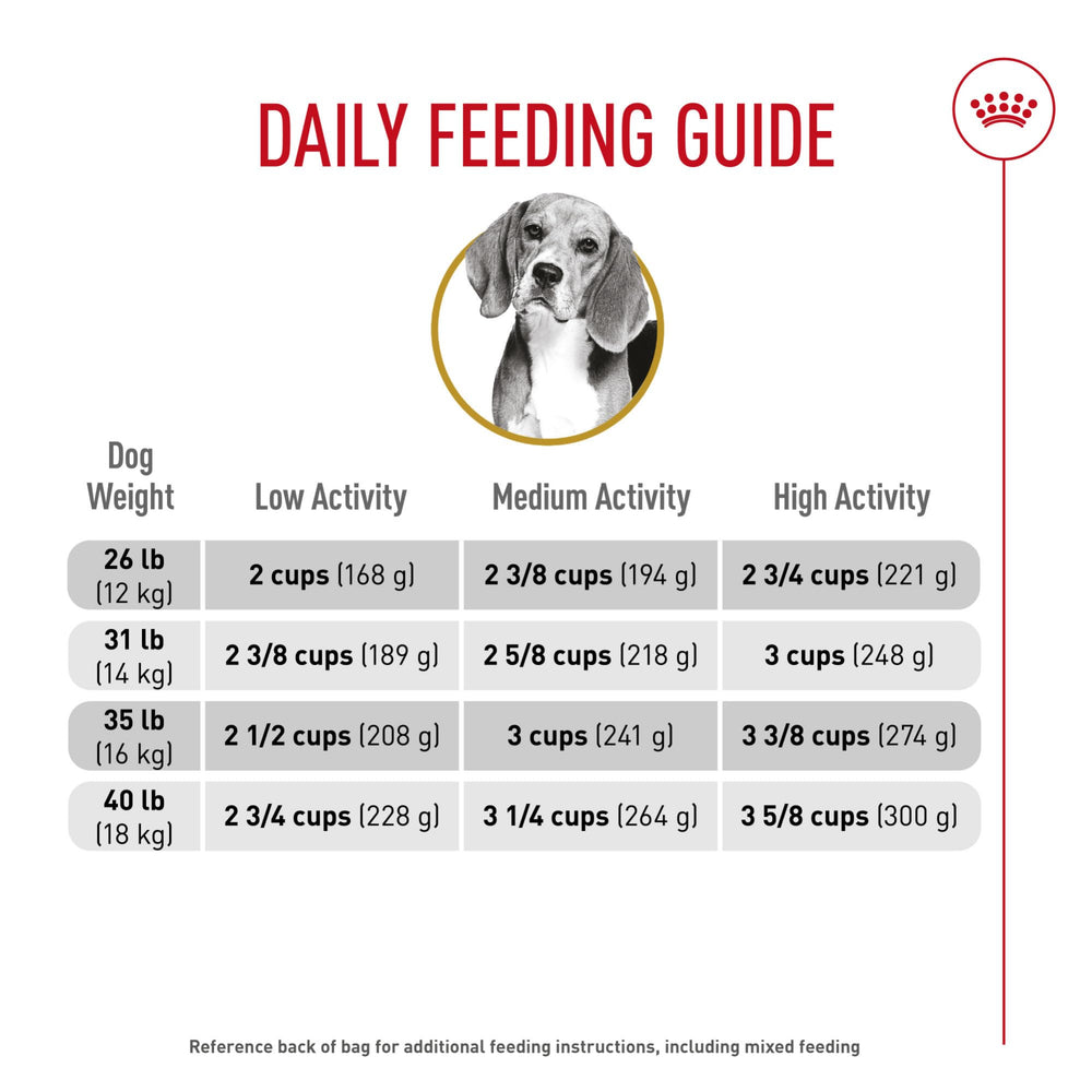 ROYAL CANIN Beagle: nutrición específica por raza basada en investigación