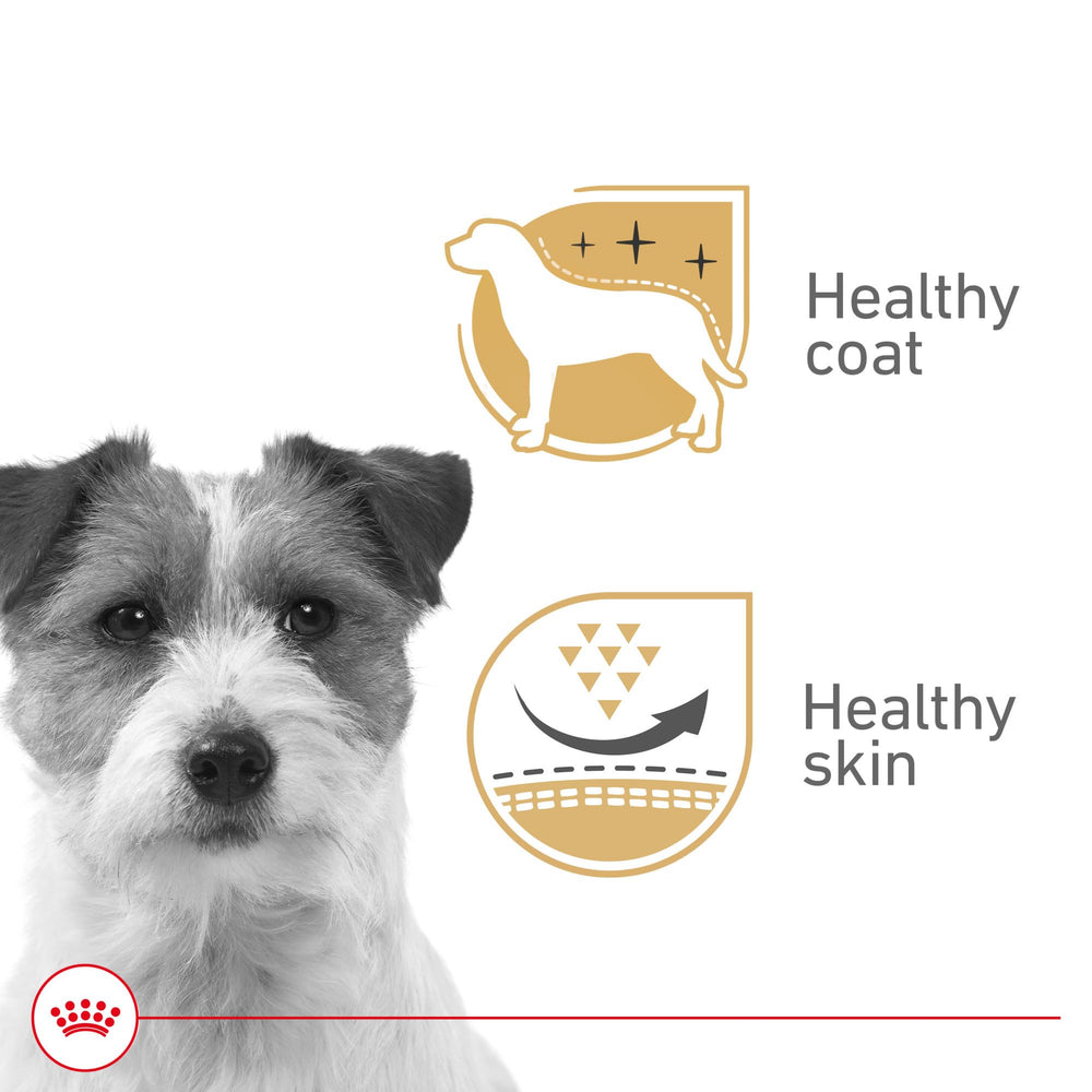 Royal Canin Belleza: porción húmeda apta para perros adultos, sabor agradable.