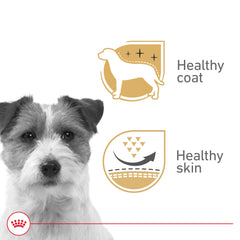 Royal Canin Belleza: porción húmeda apta para perros adultos, sabor agradable.