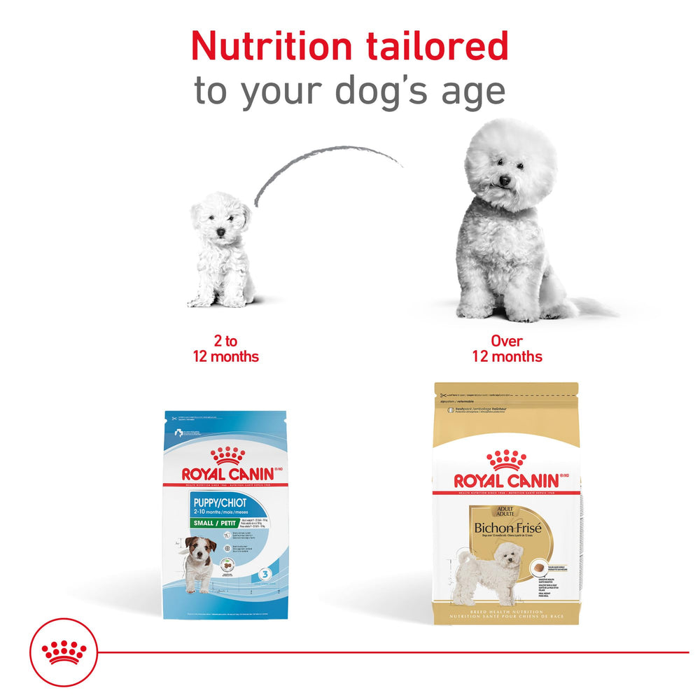 ROYAL CANIN Bichón Frisé Adult, aporte de nutrientes para energía y bienestar diario.