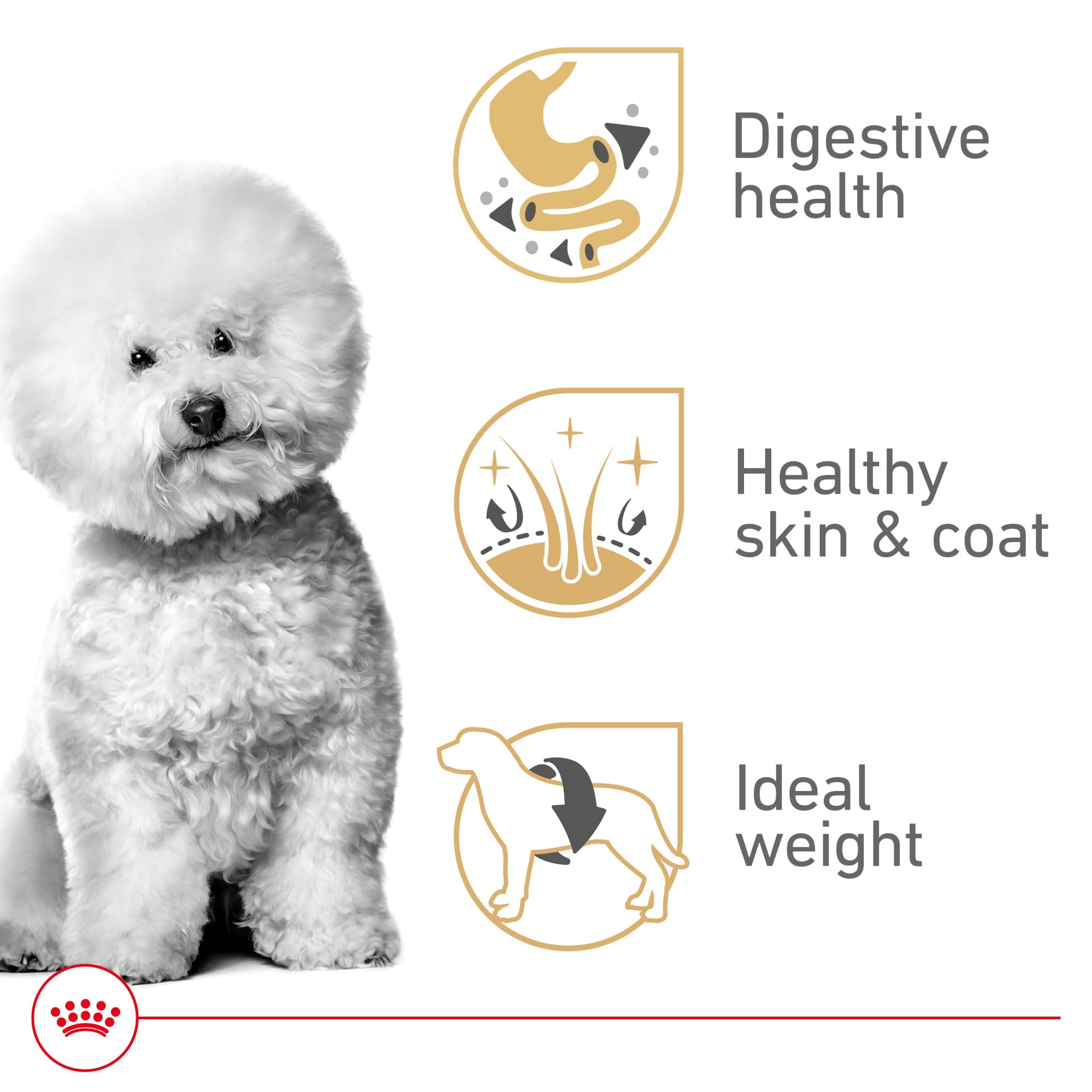 ROYAL CANIN Bichón Frisé Adult, digestión suave gracias a proteínas selectas y prebióticos.