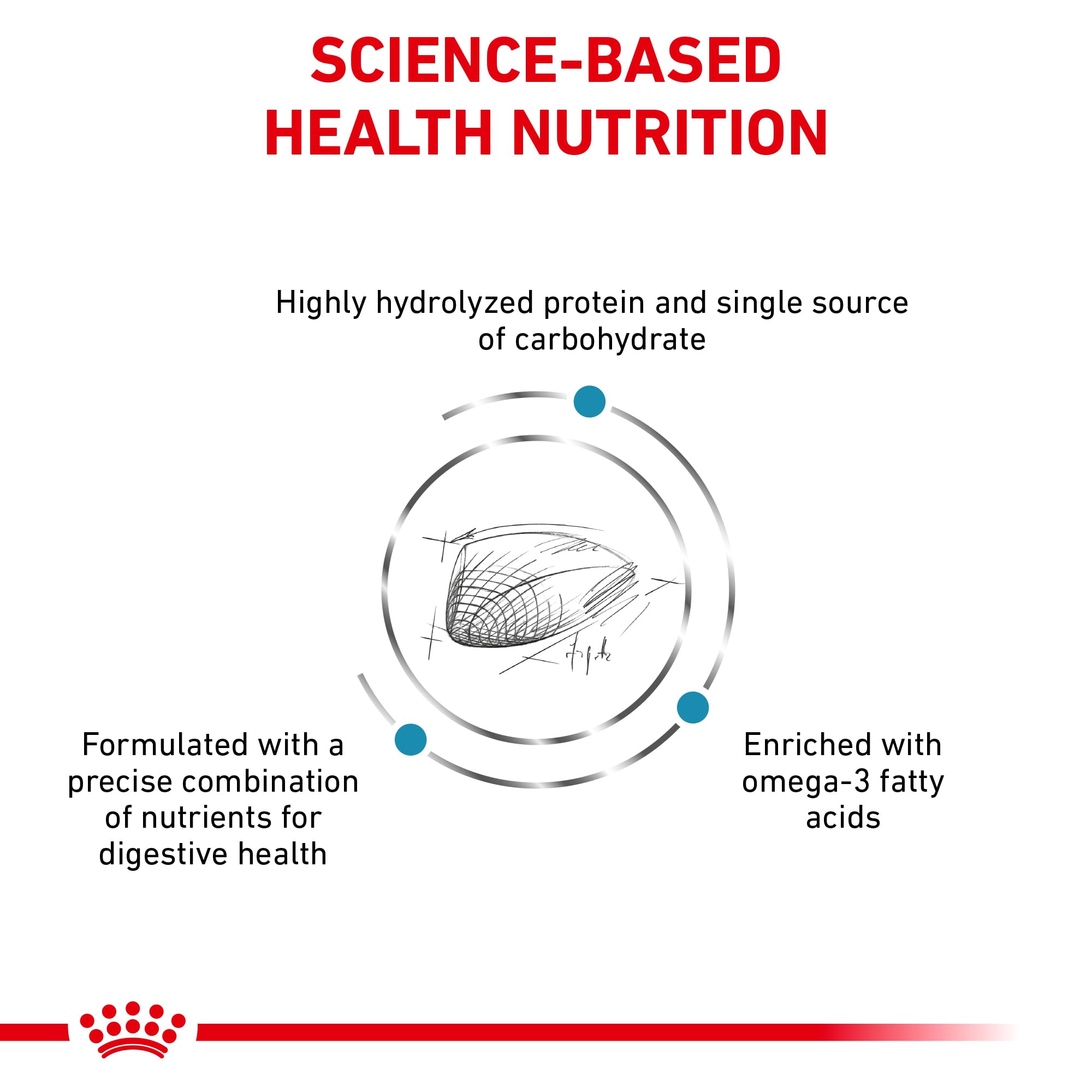 Royal Canin alimento felino hidrolizado ayuda a reducir posibles reacciones y apoya la piel.
