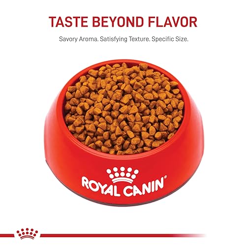 ROYAL CANIN bolsa de alimento para cachorro, envase práctico para casa.