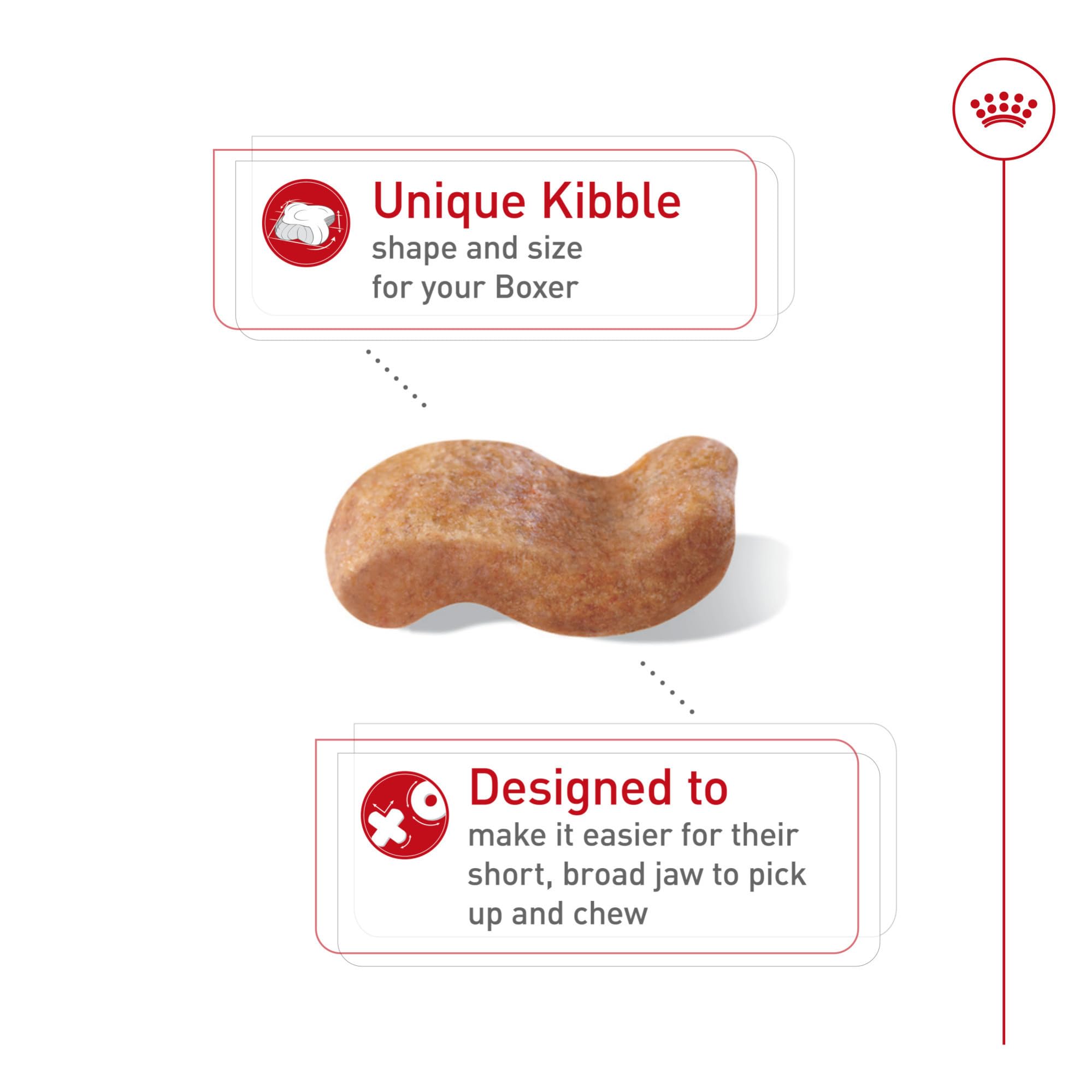 Royal Canin Boxer Adult, proteína precisa y L-carnitina para músculos.